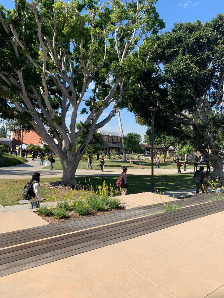 Cal State Long Beach Prep For Me 2025