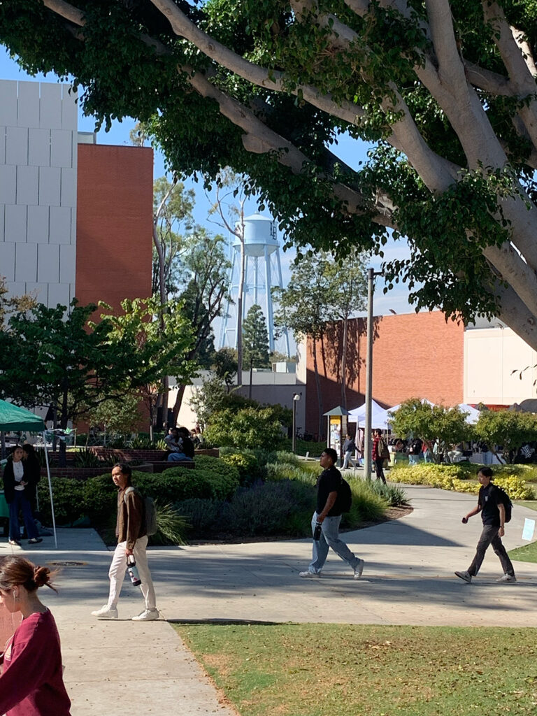 Cal State Long Beach Prep For Me 2025