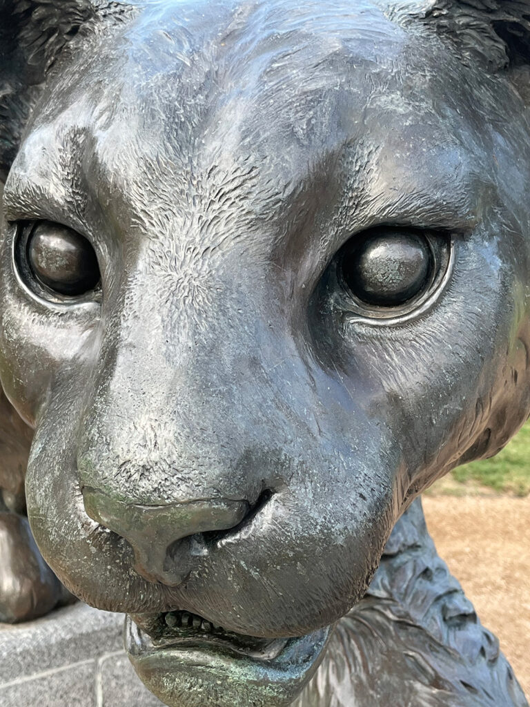 University of Houston Prep For Me 2025